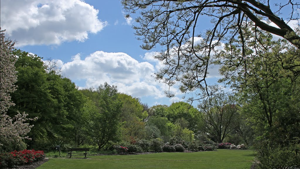 Belmonte arboretum, Wageningen by Margaritha