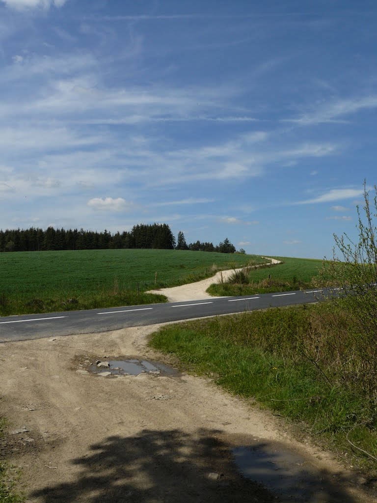 Chemin St Pal de Mons-Monistrol by ollagnon david