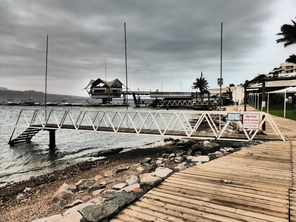 Red Sea, Eilat, Israel.﻿ by Yacov Rosenblum