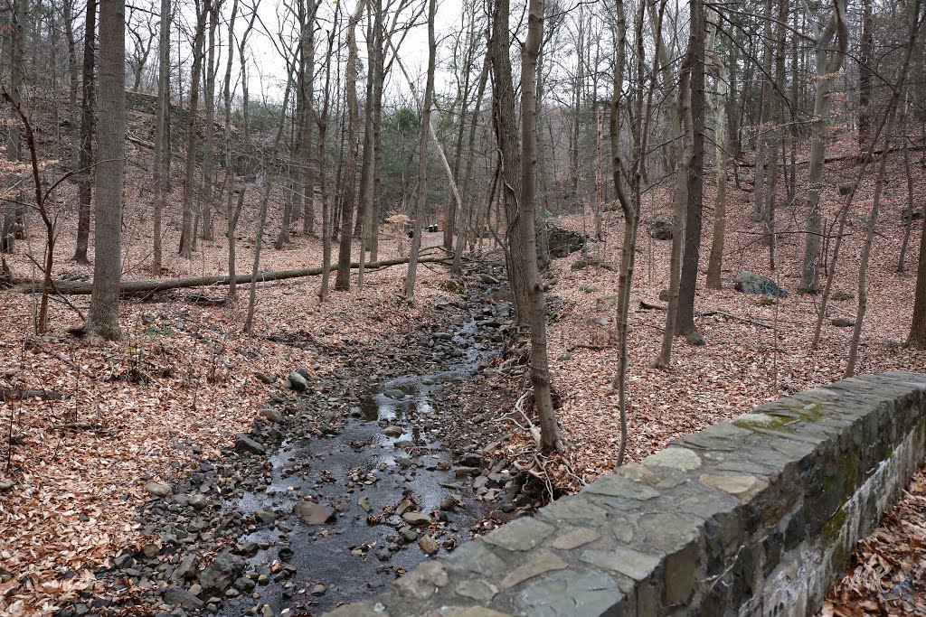 Rahway River West Branch, - South Mountain Reservation, - Maplewood, Essex County, New Jersey, United States. by mariok40