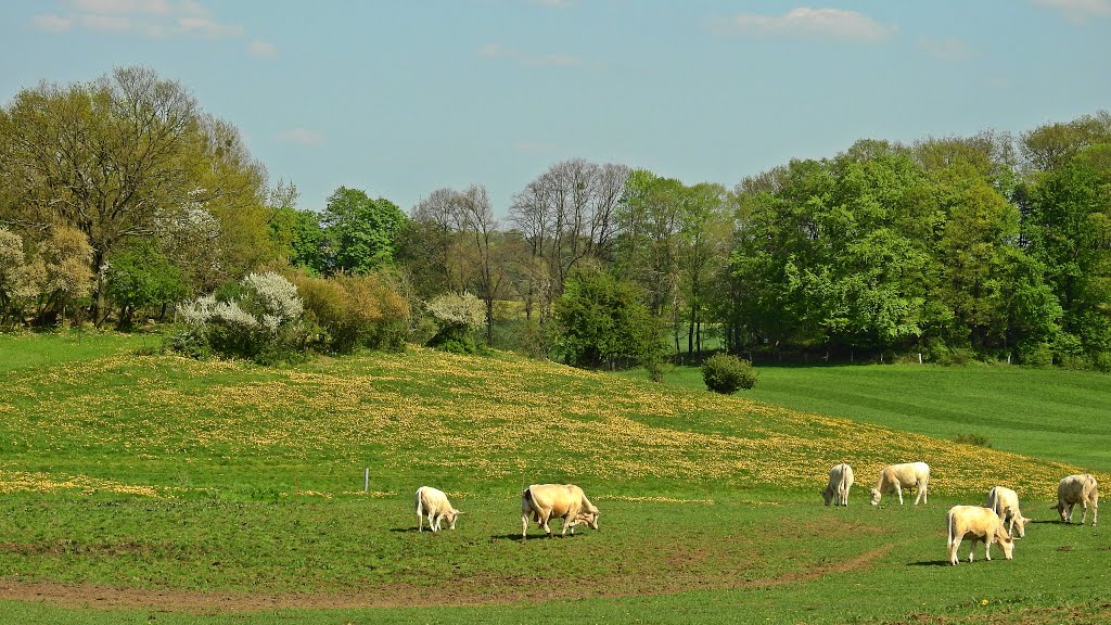 Landschaft bei Klein Vielen by Günter Kriems