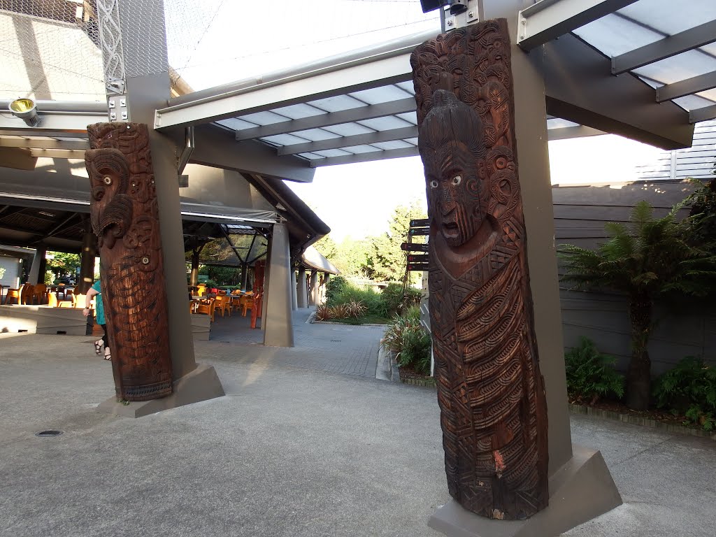 TE PUIA by hiroo hamahara