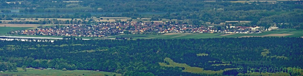 Blick vom Fremersbergturm auf Hügelsheim by Raimund Weiler