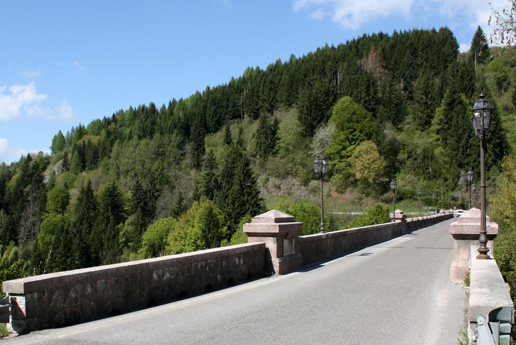 Ponte di Roana by Lucio A. De Rosso