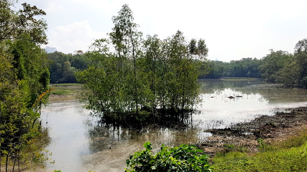 Sungei Buloh Wetland Reserves by Tan MS peter