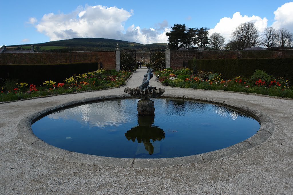 Powerscourt Demesne, Co. Wicklow, Ireland by Zoltán Vojtek