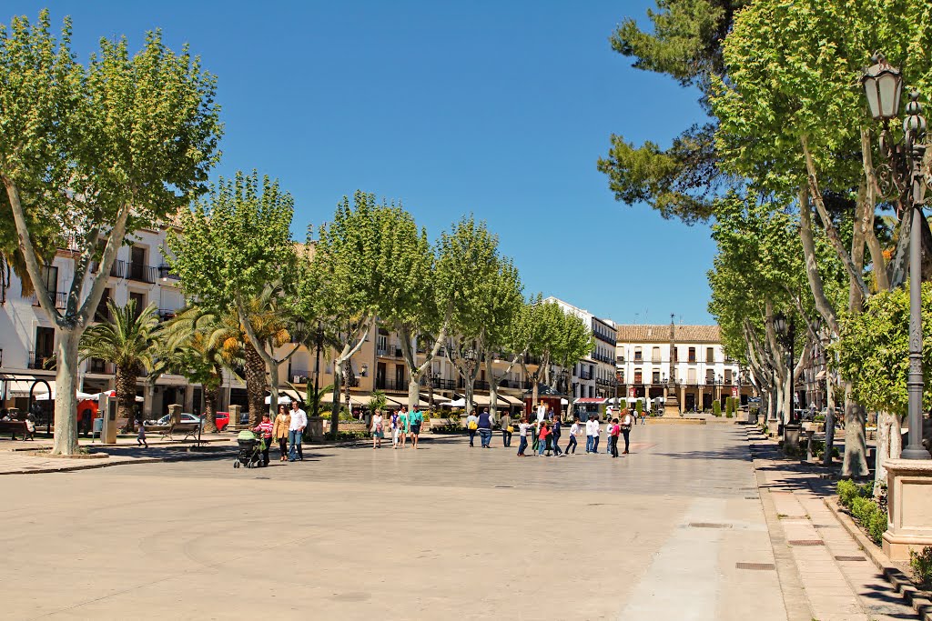 Plaza de la Constitución by RA Melgar