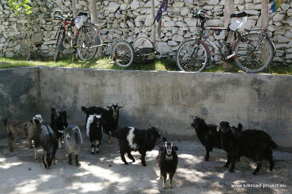 Kalaikhum, Tajikistan by Radreise