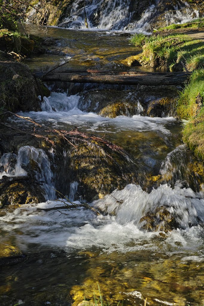 Springs of Living Water. by Dave Belcher