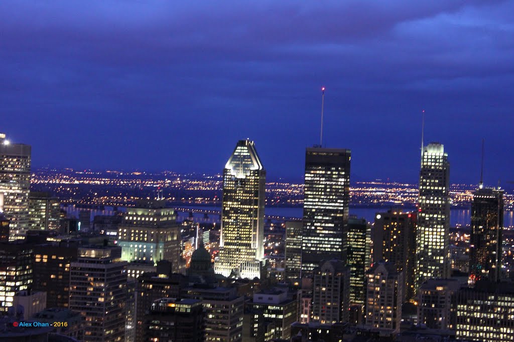 Mount Royal, Montreal, Quebec by Alex Ohan