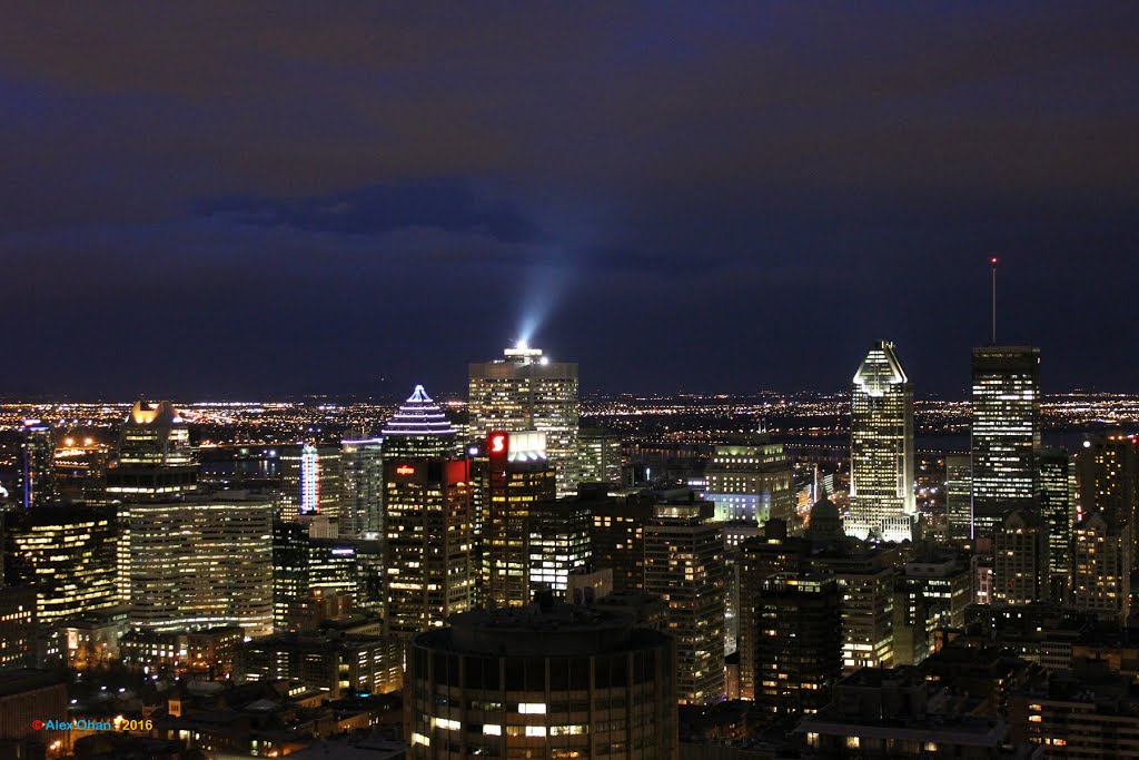 Mount Royal, Montreal, Quebec by Alex Ohan