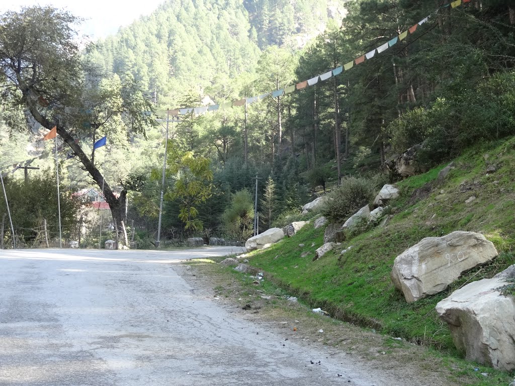 Manikaran Road, Near Kasol, Himachal Pradesh by sban1998