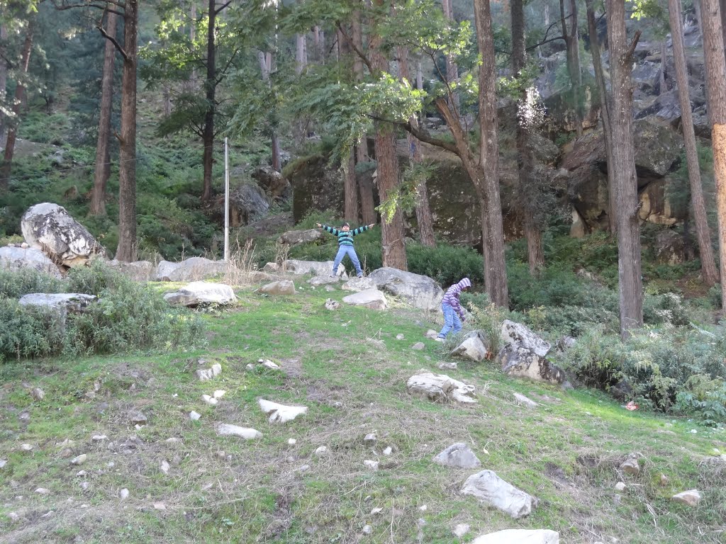 Beautiful Parvati Valley, Manikaran Road, Near Kasol, Himachal Pradesh by sban1998