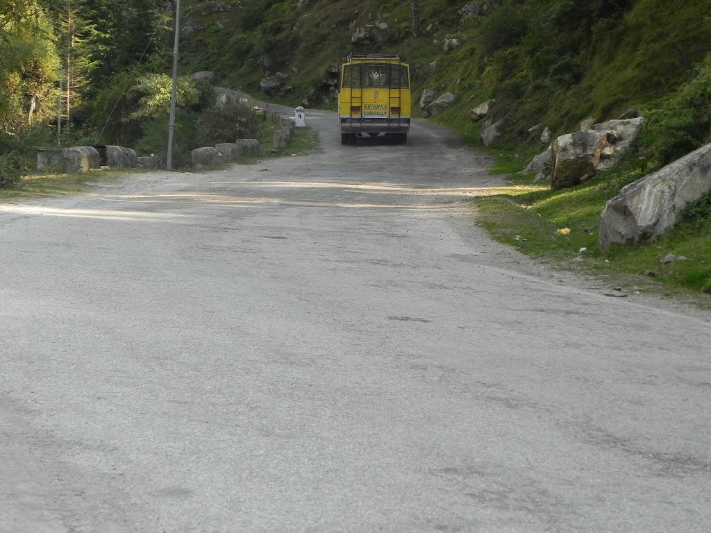 Manikaran Road, Near Kasol, Himachal Pradesh by sban1998