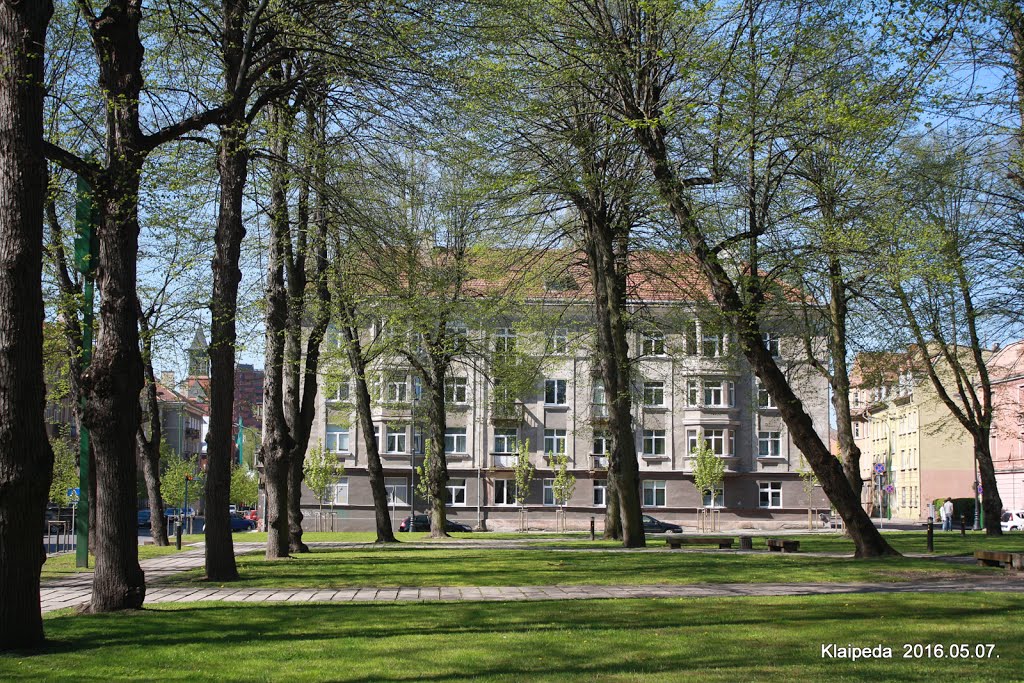 Klaipėda, Lithuania by Augustinas Plikis