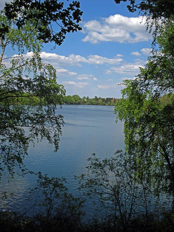 Blick durch das Geäst auf den Rahmer-See by Natur- und Umweltfot…