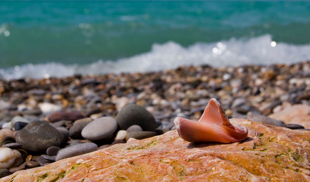 Чёрное море. Саки, Крым, Россия / Black Sea, Saki, Crimea, Russia by Andrey Velichko