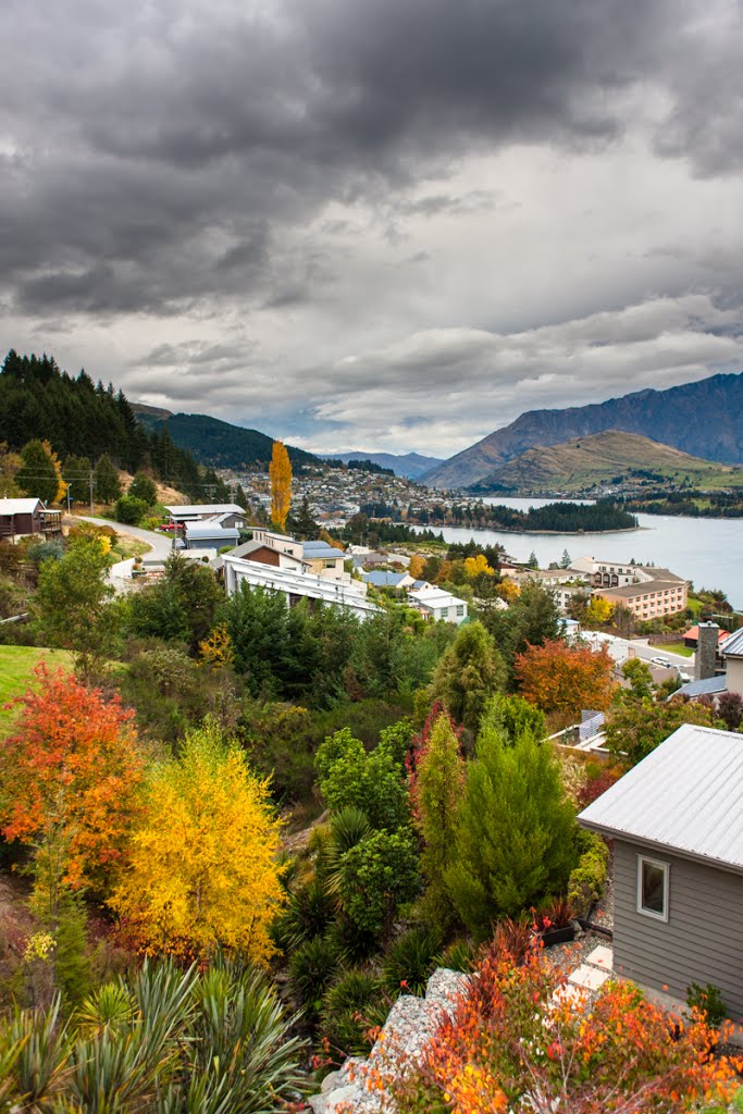 Autumn in Queenstown by Vern Norrgard