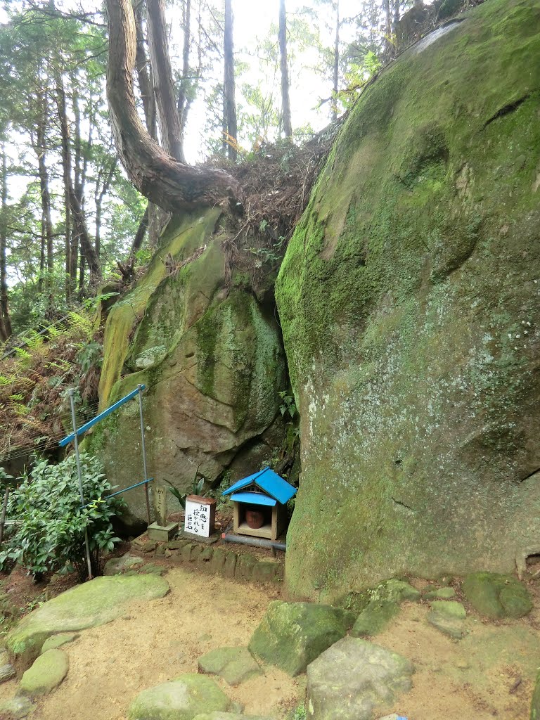 知恵を授かれる巨岩　和歌山県有田川町 by kyoncy_mama