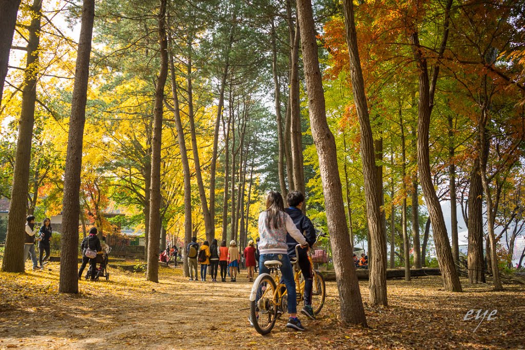 Bukhangangbyeon-ro, Gapyeong-eup, Gapyeong-gun, Gyeonggi-do, South Korea by eye eye