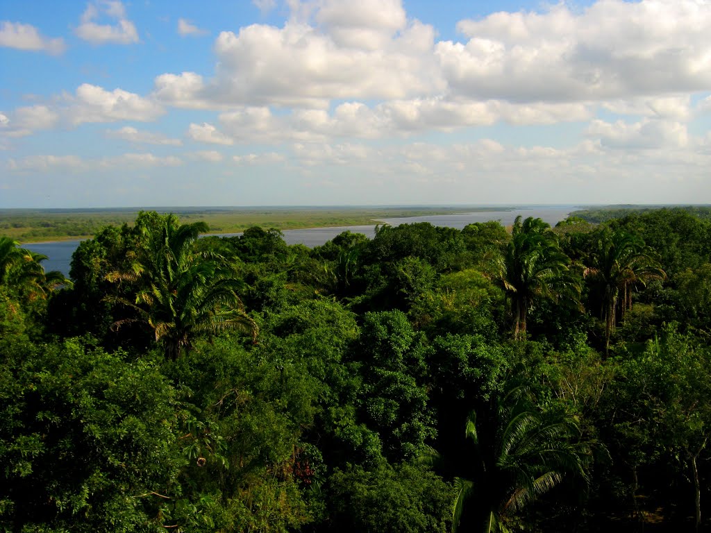 Lamanai, Belize: View from the top of High Temple to the New River by Werner Wruck