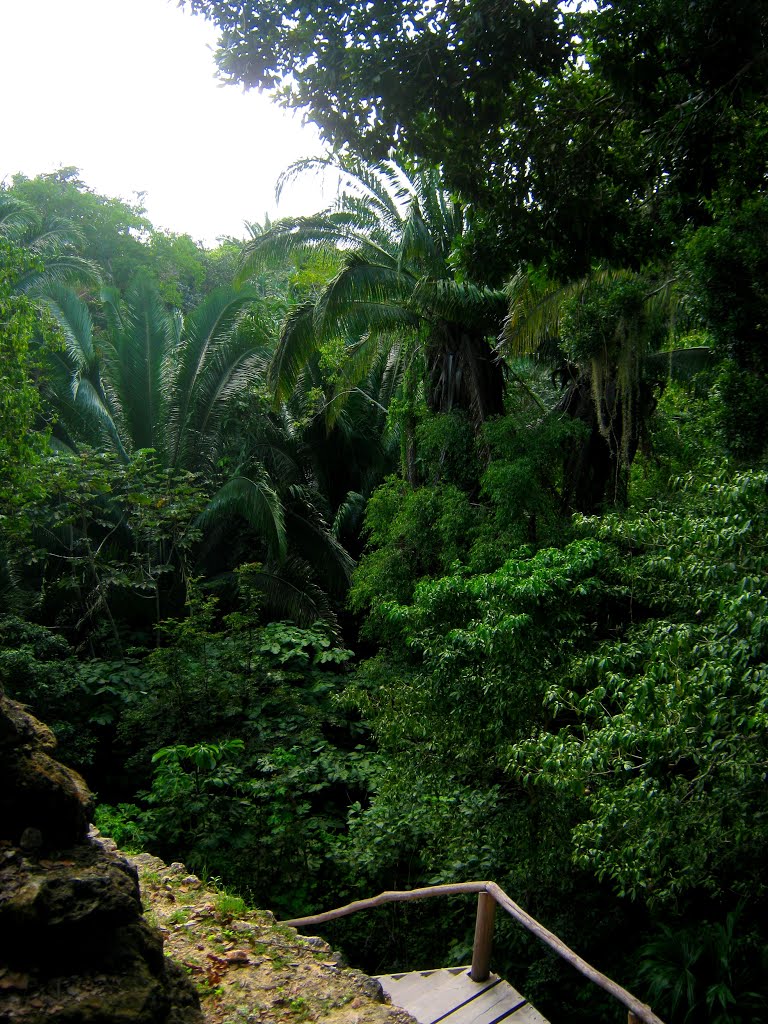 Lamanai, Belize: The west slope of High Temple by Werner Wruck