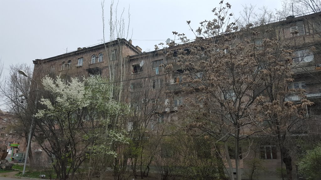 Yerevan, Babayan street by Arthur Ghazaryan