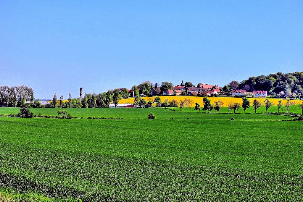 Kloster Donndorf by K.-H. Vollrath