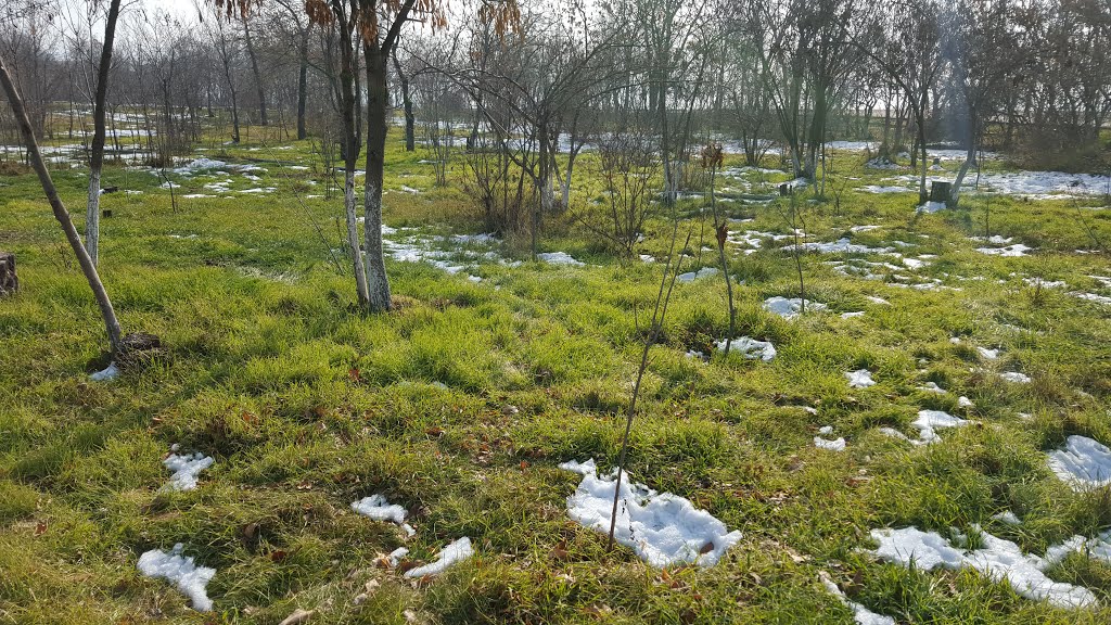 Winter in Victory Park by Arthur Ghazaryan