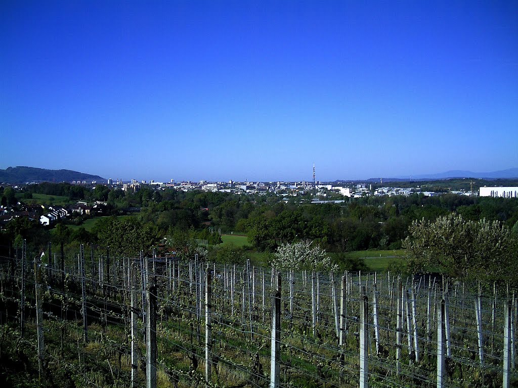 Mai - Freiburg im Breisgau - 2016 by pictures Jettcom