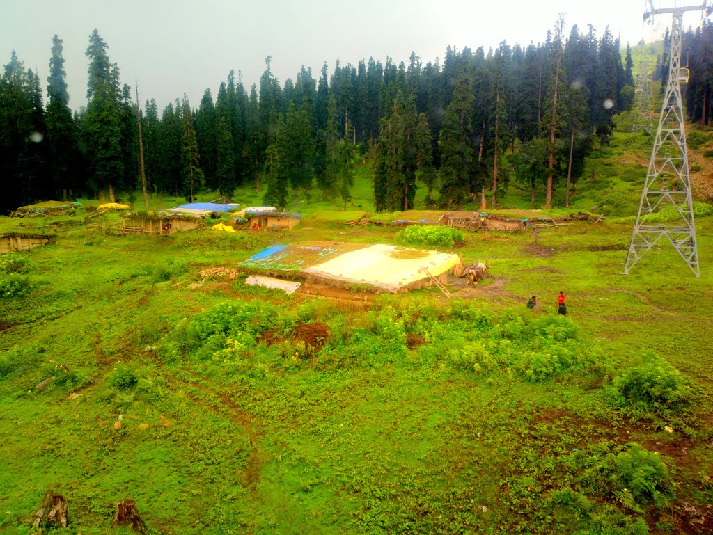 Kongdoori,2nd Phase Gandola,Kashmir,J & K,India. by Kamalakar Anthati