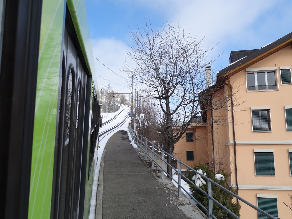 RAIL LINE AIGLE-LEYSIN by Georgios Giannopoulo…