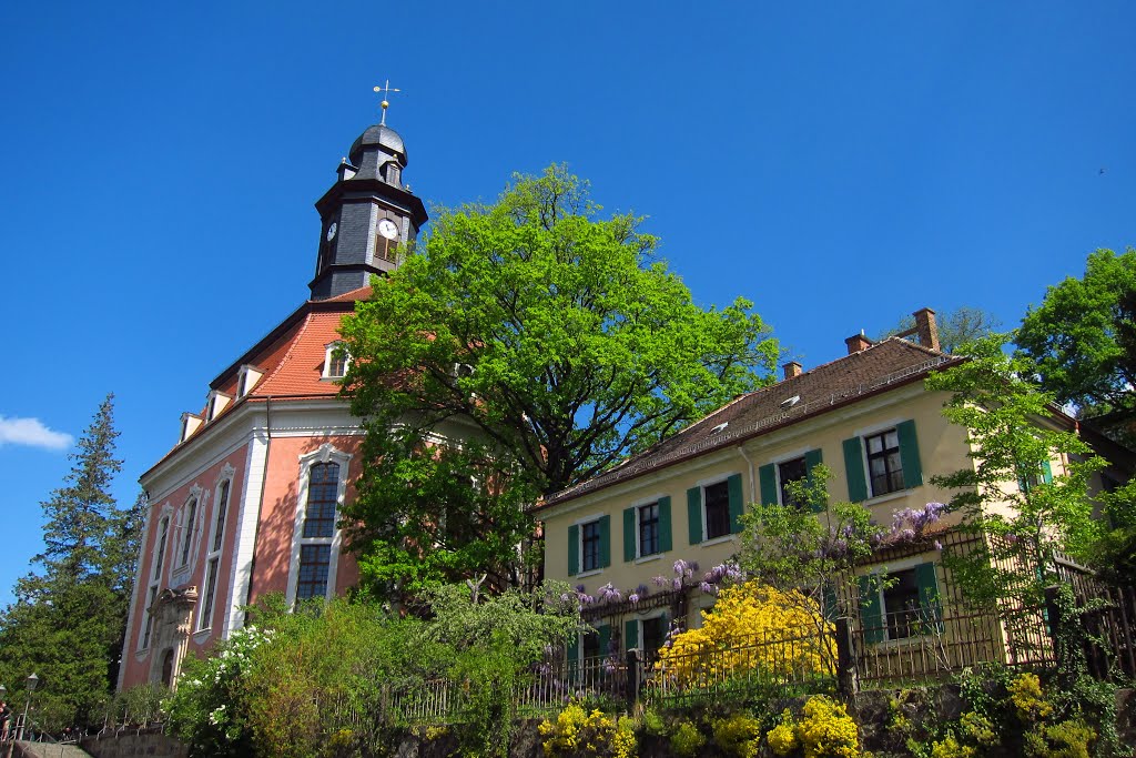 Loschwitzer Kirche by Siegfried Koegler