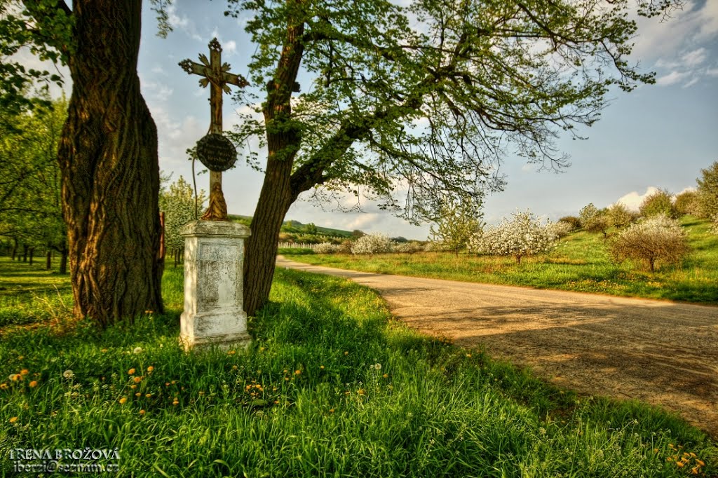 Šardice, křížek na rozcestí by Irena Brozova