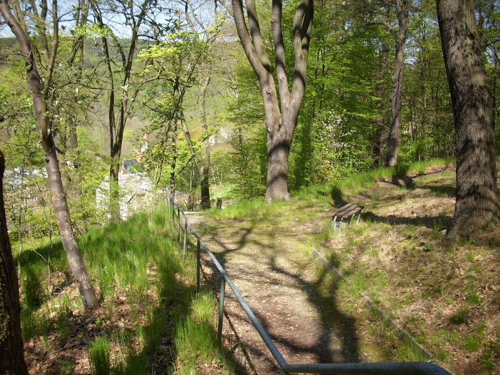 Stadtpark.Halblinks versteckt sich der rot-weiße Turm der Gottesacker-Kirche by Greizer Ansichten 1