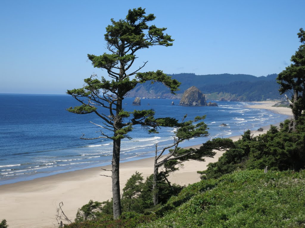 Cannon Beach by U B