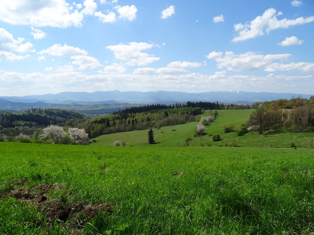 Widok na Karkonosze. by stjac