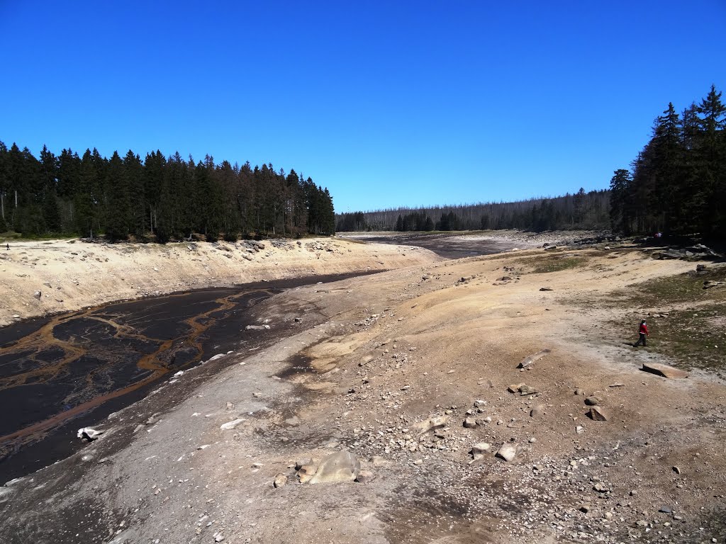 Empty Oderteich as seen from dam position, St. Andreasberg, Lower Saxony, German by uwe leinhos