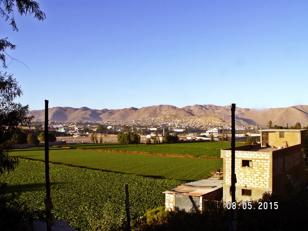 Vista desde calle Arrayanes by de jaxsun