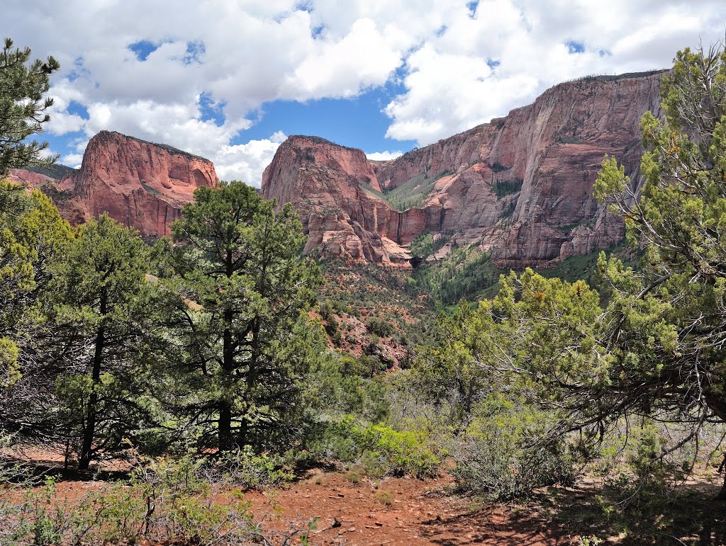 Kolob Canyon seen from the Timber Creek trail by John Roberts