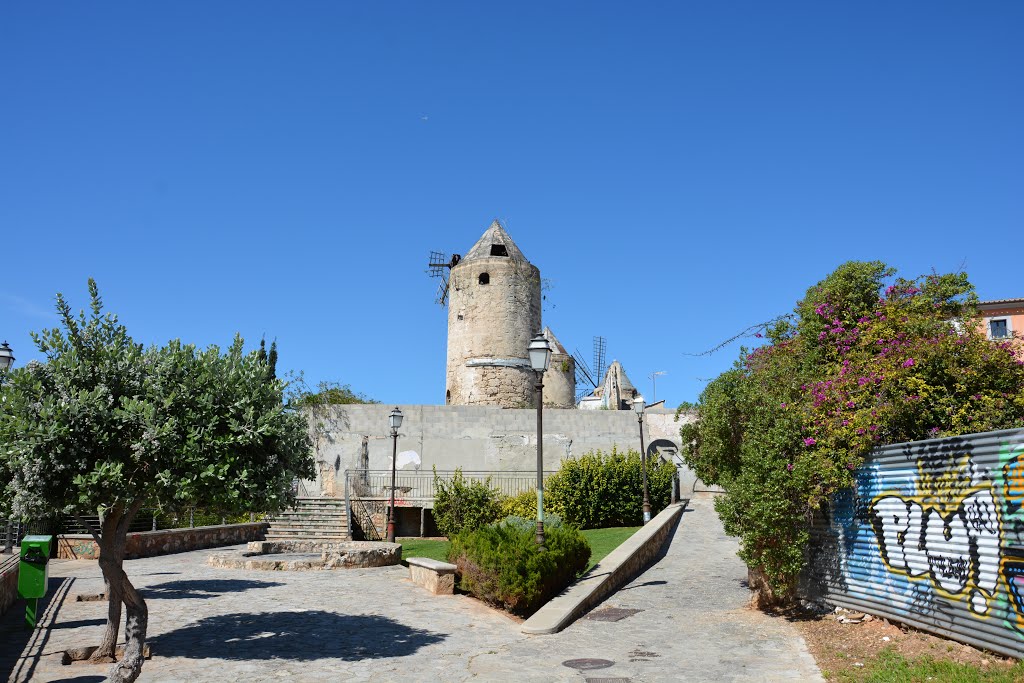 Palma Mallorca by Ertan Gueler