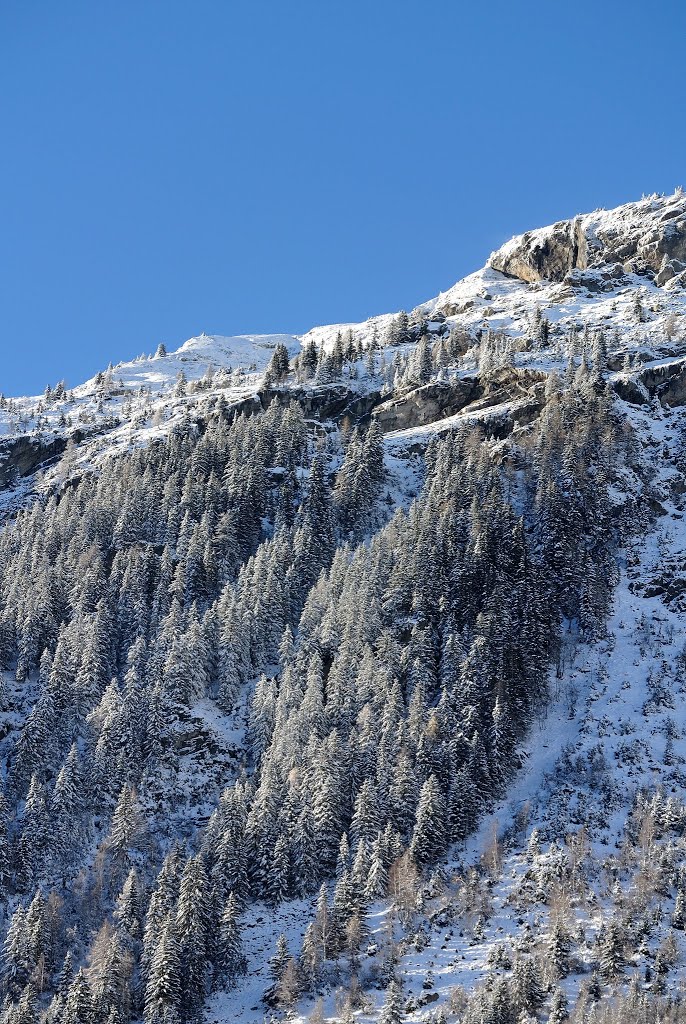 Chamonix, France by John Roberts