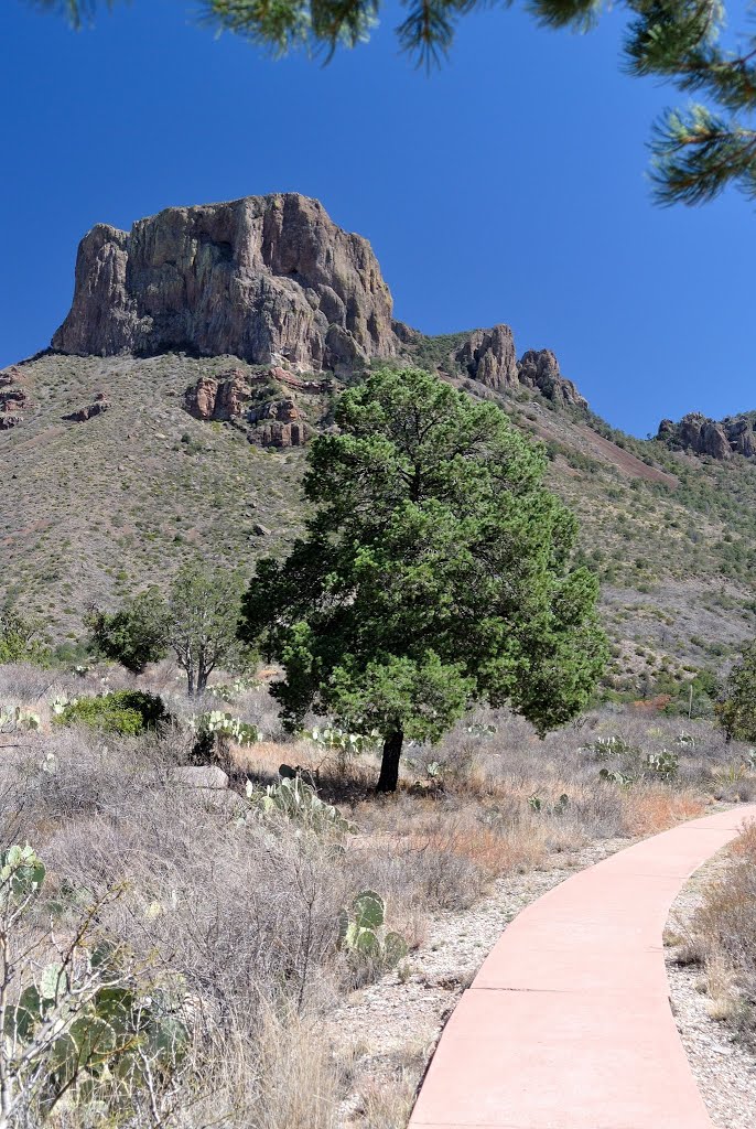 Casa Grande Peak above Chisos basin by John Roberts