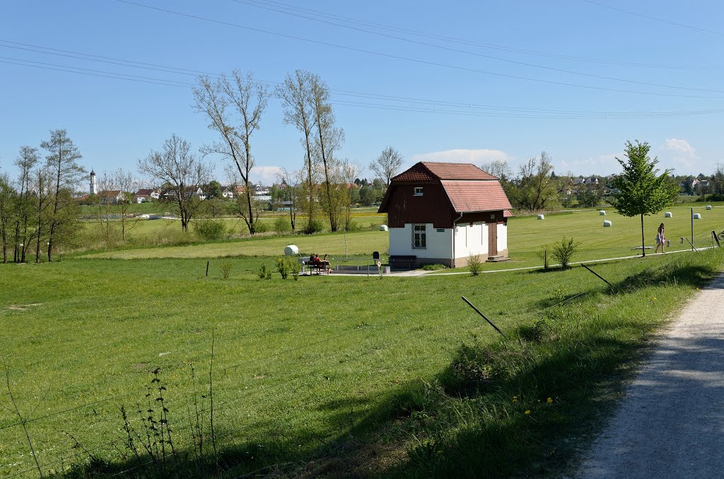 Am Waldrand bei Täfertingen, Gersthofen, Bayern, Mai 2016 by PETEGE