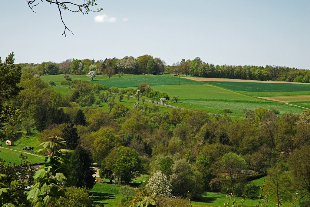 Braunfels, Germany by Jürgen Düring