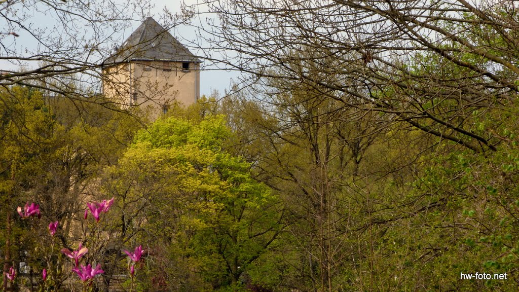 Hakeburg by Holger Weiher