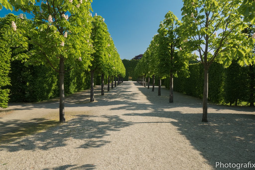 Schönbrunn, Wien, Austria by Gerhard Poehacker