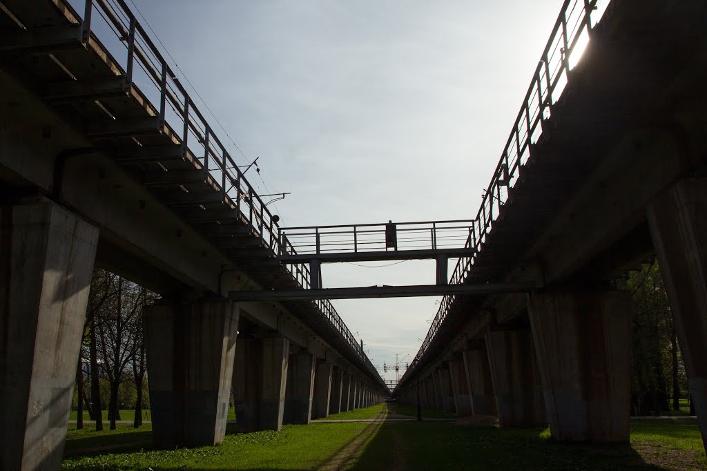 Under the Finland Railway Bridge by Alexey Komarov