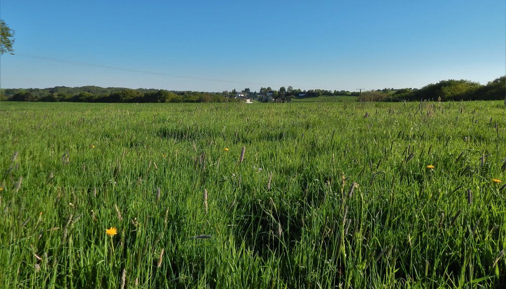 Much / Germany: "Frühlingsgeschichten", ... Much / Germany: "Spring - Stories", ... Photographed in May 2016 by Armin U. P. (Earth V…