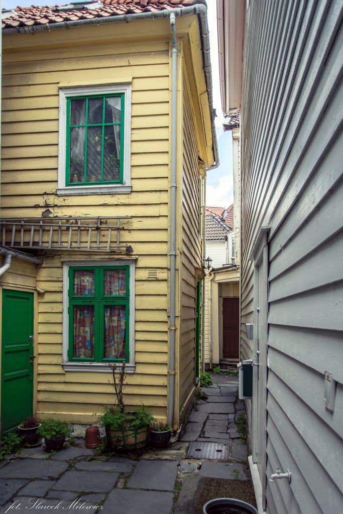 Nygårdshøyden, Bergen, Norway by Sławek Milewicz